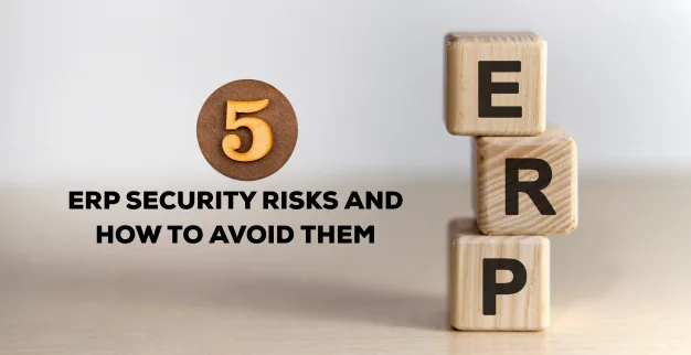 ERP Security Risks and Solution